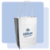 Hilton paper gift bag, #1229230