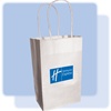 Holiday Inn Express gift bag, #1229217N