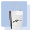 Radisson gift bag, #1229244