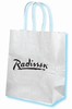 Radisson medium paper gift bag, #1229344